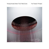 The Freedom Principle - CD coverart