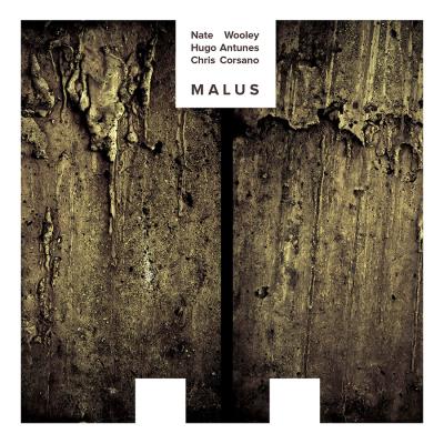 Malus - 