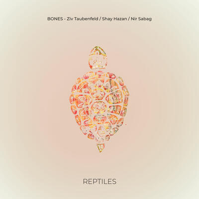 Bones - Reptiles - 