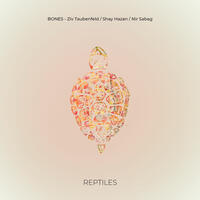 Bones - Reptiles, NBLP 128