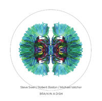 Brain in a Dish - CD coverart