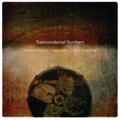 Transcendental Numbers - Dominic Duval